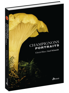 CHAMPIGNONS PORTRAITS