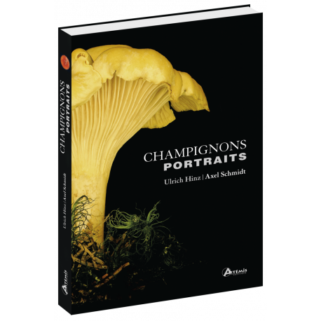 CHAMPIGNONS PORTRAITS