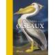 INCROYABLES OISEAUX