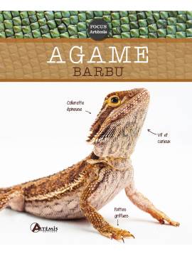 AGAME BARBU