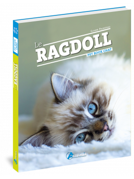 LE RAGDOLL