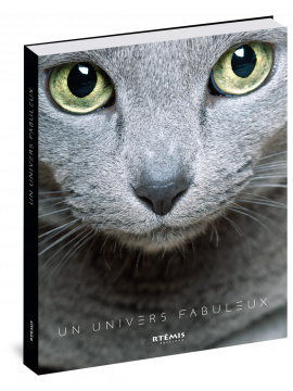 CHATS UN UNIVERS FABULEUX