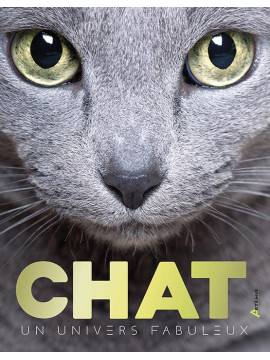 CHATS UN UNIVERS FABULEUX