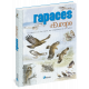 RAPACES D'EUROPE