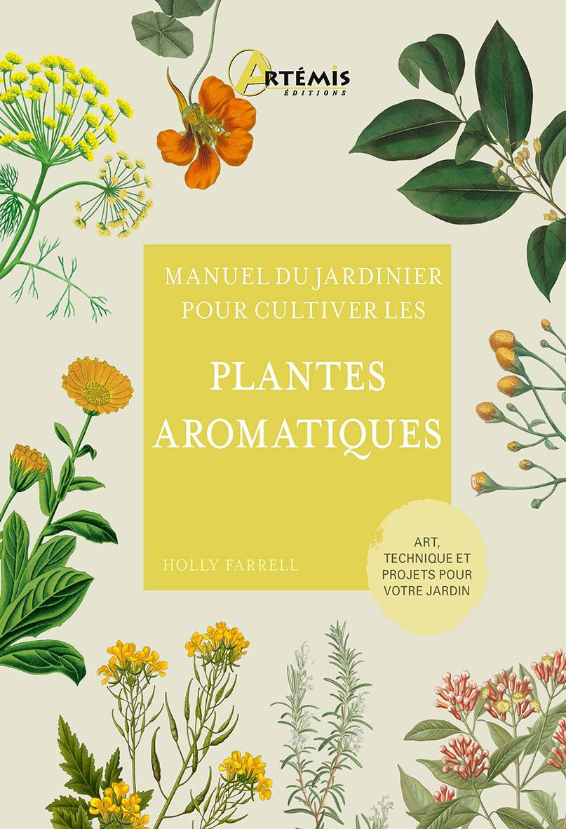 Plantes aromatiques : 12 variétés à planter au jardin